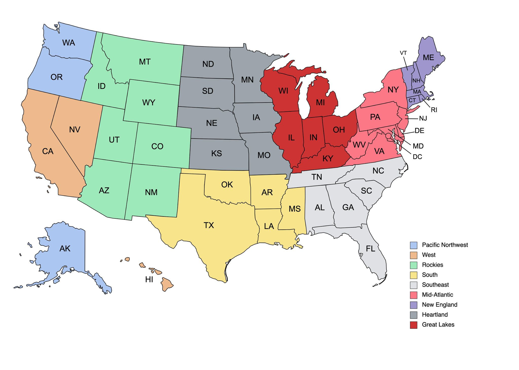 CubingUSA - State Rankings